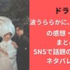 ドラマ『波うららかに、めおと日和』の感想・評判まとめ｜SNSで話題の理由は？ネタバレあり