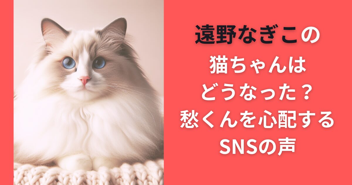 遠野なぎこの猫ちゃんはどうなった？愁くんを心配するSNSの声