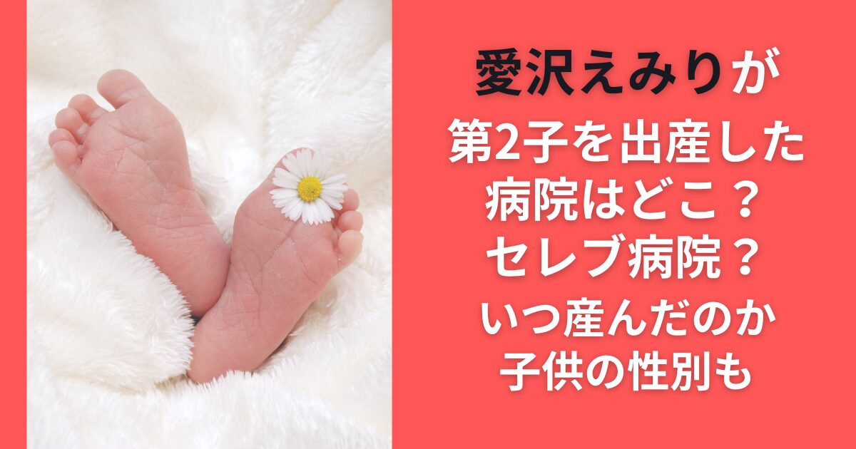 愛沢えみりが第2子を出産した病院はどこ？セレブ病院？いつ産んだのか子供の性別も