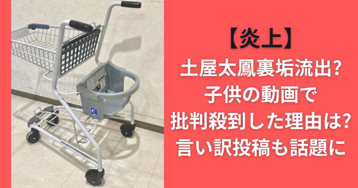 【炎上】土屋太鳳裏垢流出？子供の動画で批判殺到した理由は？言い訳投稿も話題に