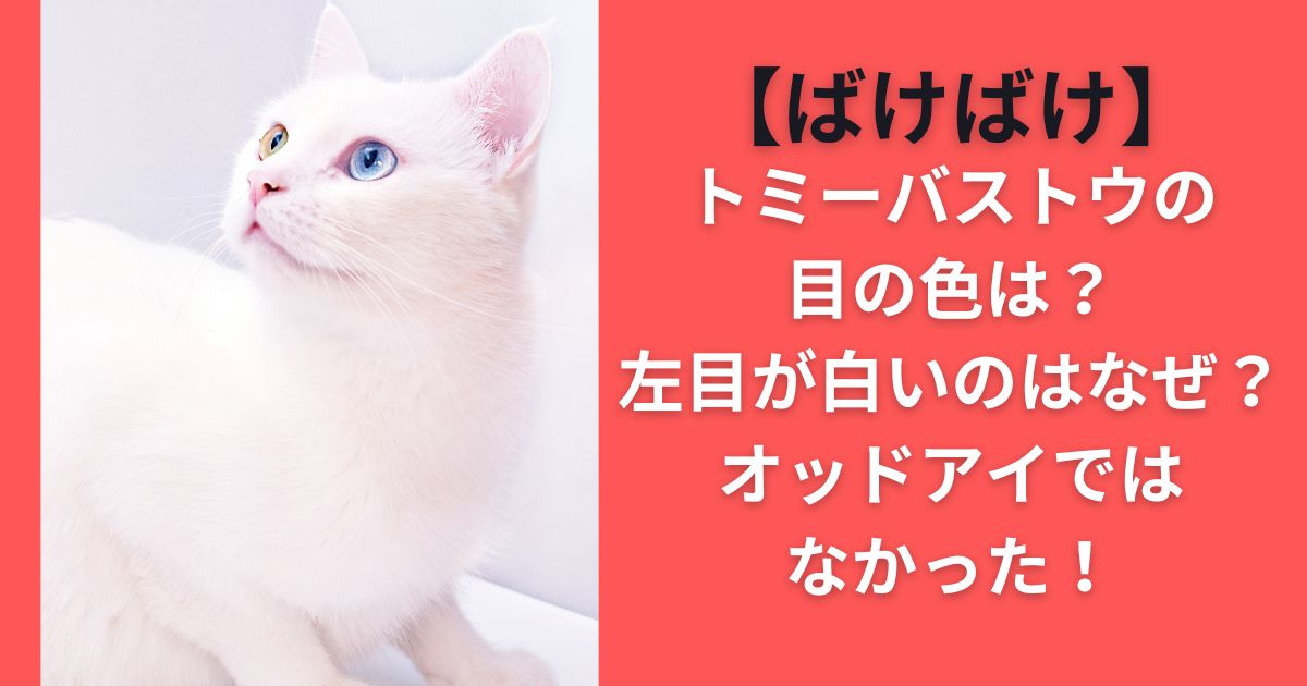 【ばけばけ】トミーバストウの目の色は？左目が白いのはなぜ？オッドアイではなかった！