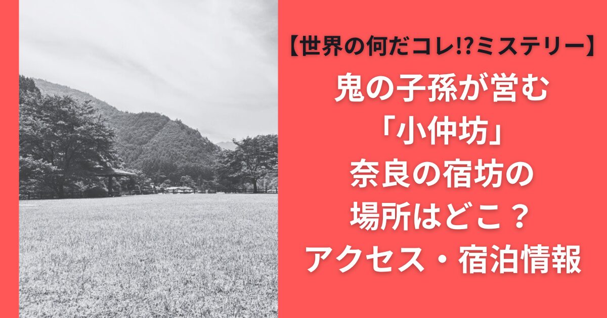 鬼の子孫が営む「小仲坊」奈良の宿坊の場所はどこ？アクセス・宿泊情報【世界の何だコレ!?ミステリー】
