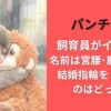 パンチくん飼育員がイケメン!名前は宮腰･鹿野さんで結婚指輪をしているのはどっち？