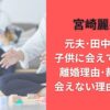 宮崎麗果の元夫･田中雄士は子供に会えていない?離婚理由･裁判内容･会えない理由はなぜ?