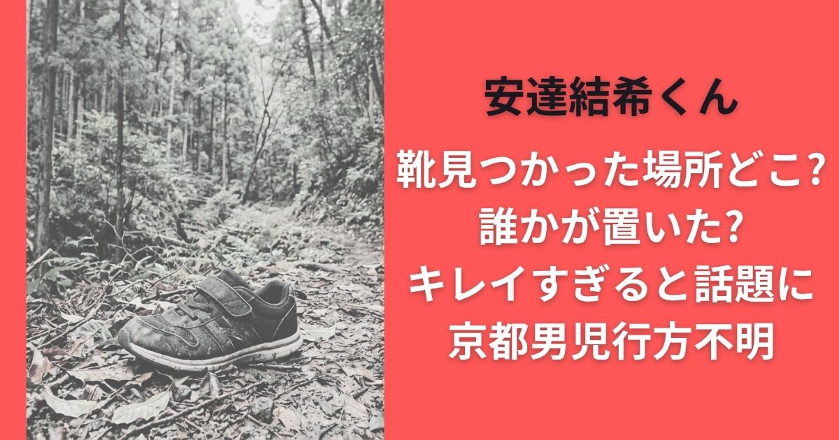 安達結希くん靴見つかった場所どこ?誰かが置いた?キレイすぎると話題に｜京都男児行方不明