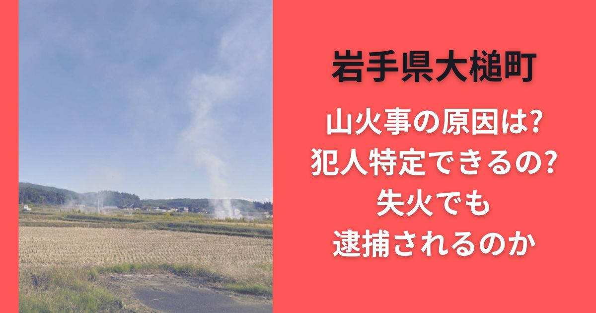 岩手県大槌町山火事の原因は?犯人特定できるの?失火でも逮捕されるのか