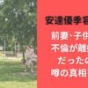 安達優季容疑者の前妻･子供いる?不倫が離婚理由だったのか?噂の真相を調査