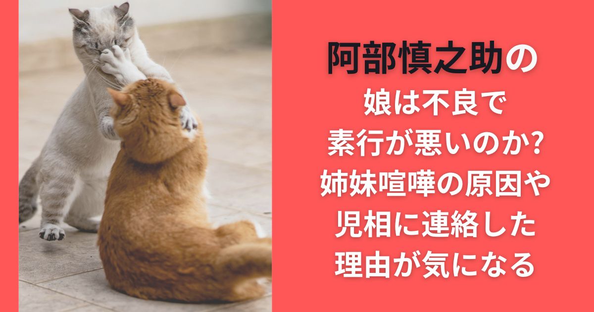 阿部慎之助の娘は不良で素行が悪いのか?姉妹喧嘩や児相に連絡した理由が気になる