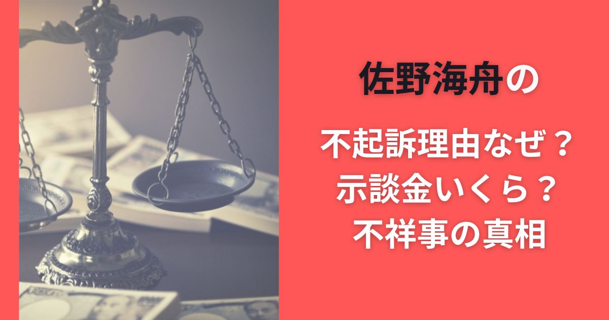 佐野海舟の不起訴理由なぜ？示談金いくら？不祥事の真相