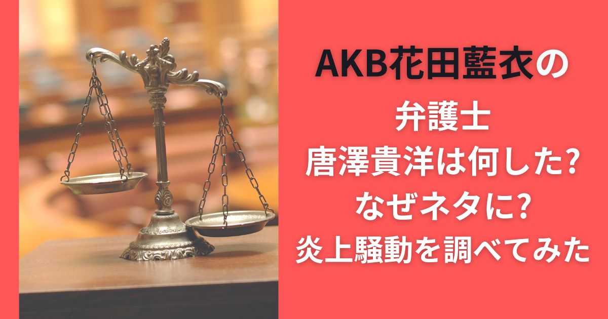 AKB花田藍衣の弁護士唐澤貴洋は何した?なぜネタに?炎上騒動を調べてみた