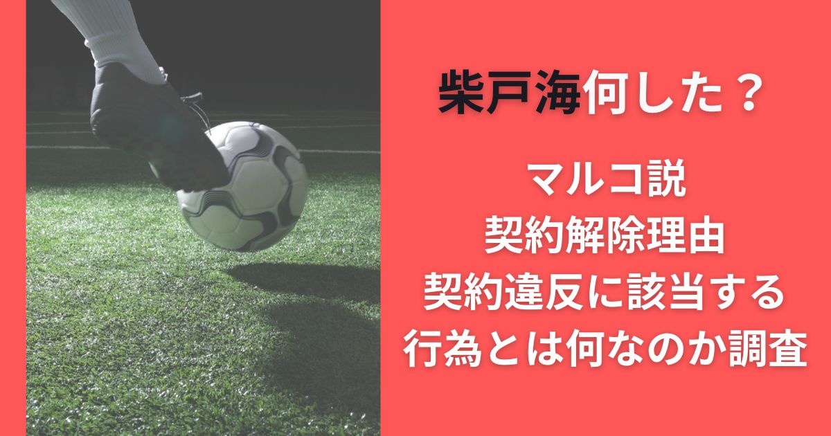 柴戸海何した？マルコ説･契約解除理由･契約違反に該当する行為とは何なのか調査